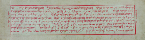 �k���ŃJ���M����